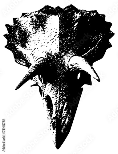 Buffalo Skull Illustrates Strength in Wilderness