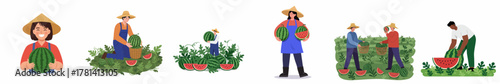 Flat Cartoon Set Illustration of Watermelon Harvest with Farmers Character