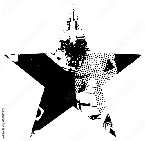 Star Portrait Illustrates Celebrity