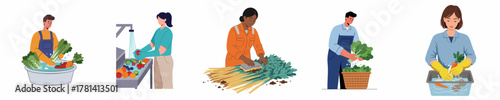 Flat Illustration of People Harvesting and Washing Fresh Organic Vegetables