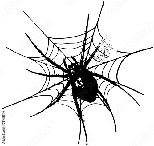 Spider hangs on web radial design