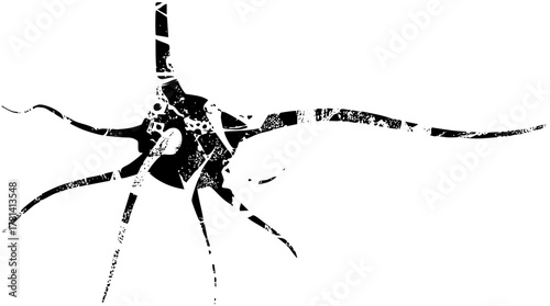 Spider Crawls Geometric