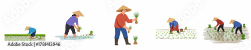 Flat Style of Rice Planting Process with Farmer Illustration Element Design