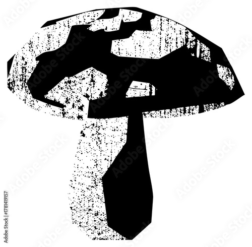 Mushroom Illustrates Texture in a Botanical Study