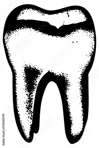 Tooth illustrates anatomy in a dental study