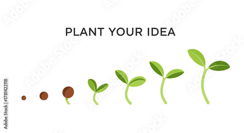 A visual journey from seed to sprout, symbolizing the organic development and successful cultivation of new business ideas and projects