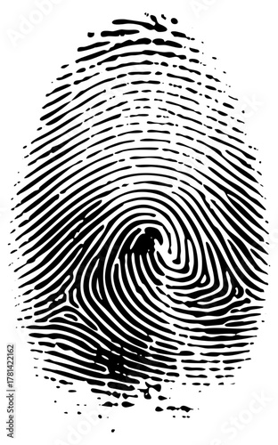 Fingerprint illustrates identification in forensic science