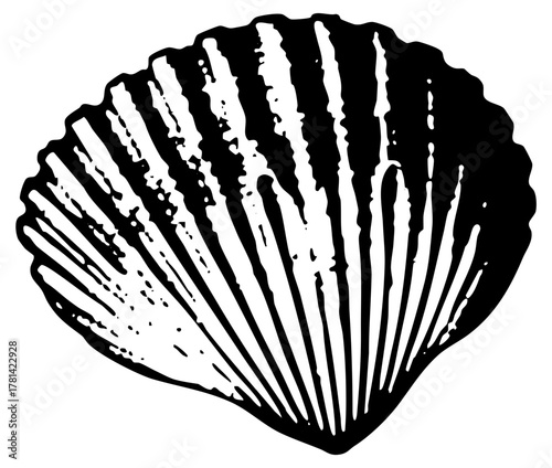 illustrates detail in simplicity