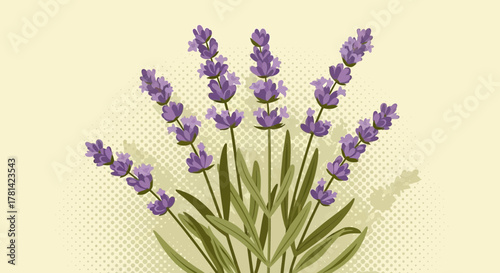 Vintage lavender botanical illustration with halftone background element