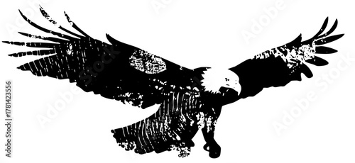 Eagle Soars Texture