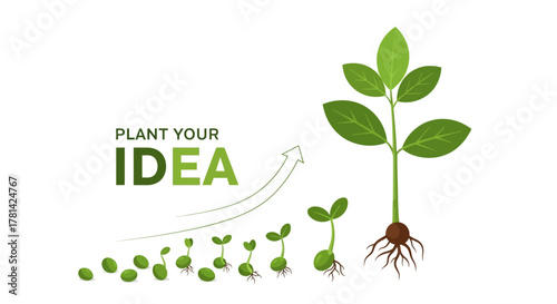 Cultivating Growth From Seeds to Success - Nurturing Your Idea