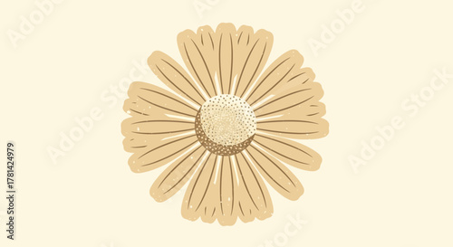Stylish daisy vector illustration with natural brown and beige tones