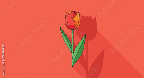 Stylized red and orange tulip illustration with shadow on coral background