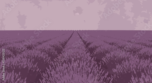 Textured lavender field landscape with faded vintage color and perspective