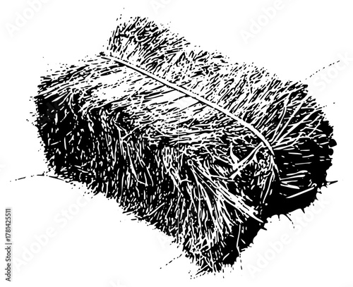 Paintbrush Strokes Illustrate Texture in Artistic Design