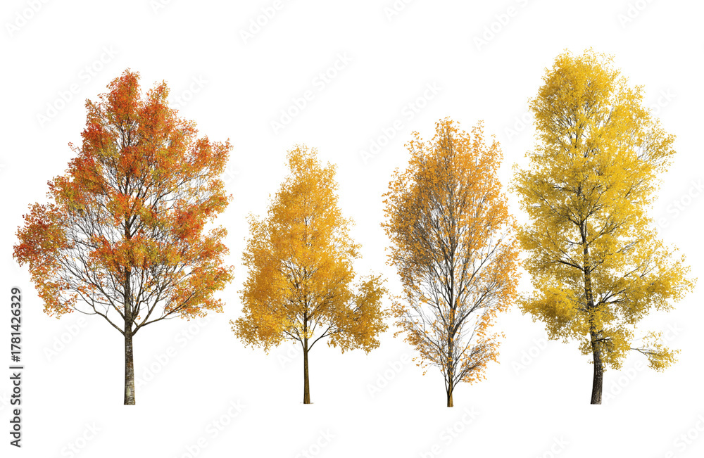 Naklejka premium A collection of four autumn trees with diverse foliage colors, including yellow and orange hues, isolated on a pure transparent background for easy use