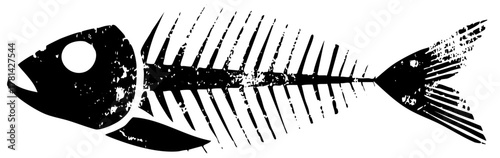 Fish skeleton illustrates decay in a marine environment