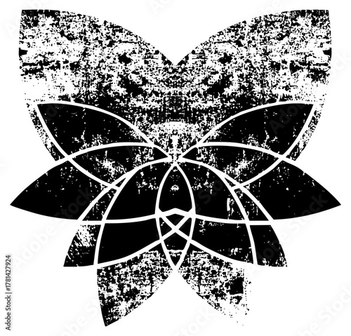 Butterfly symmetry within design