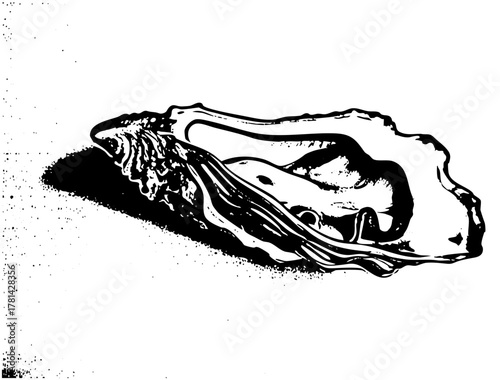 Oyster reveals pearl in illustration