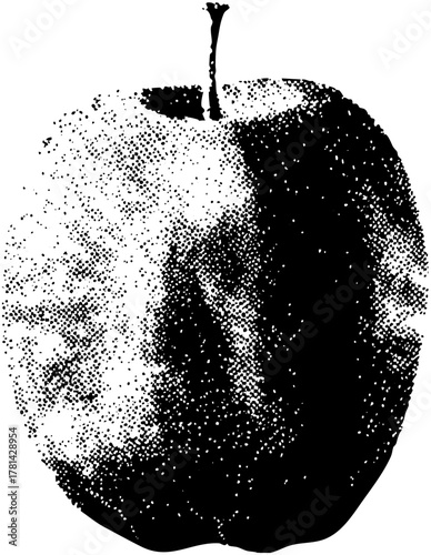 divides duality in still life