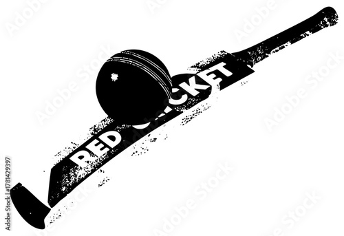 Cricket Equipment Sport Action in a Stadium