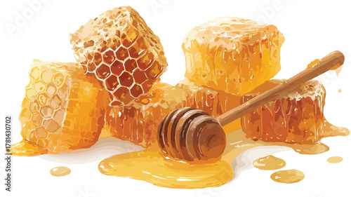 Honeycomb Collection: Sweet Honey and Vector Illustrations on White Background