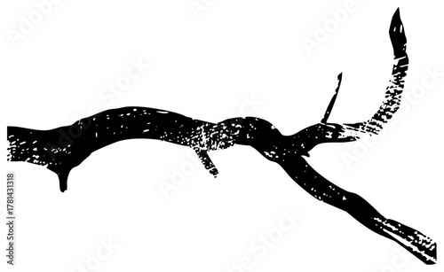 Pterodactyl Soars Through Prehistoric Skies