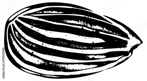 Walnut texture in a botanical illustration