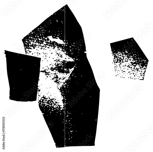 Abstract shapes reveal fragmented portrait in composition