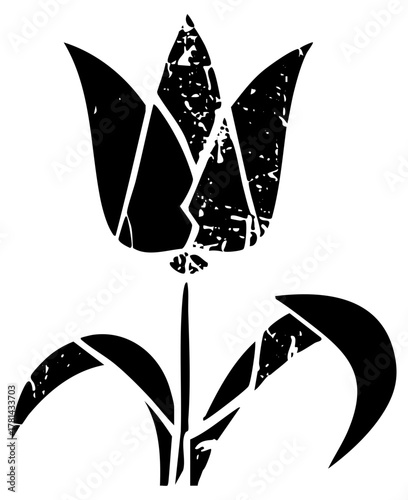 Tulip blooms fractured design