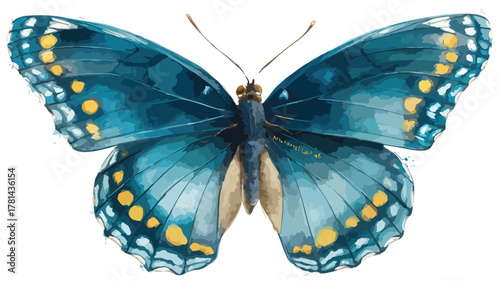 Beautiful Blue Butterfly Painting with National Park Words Illustration