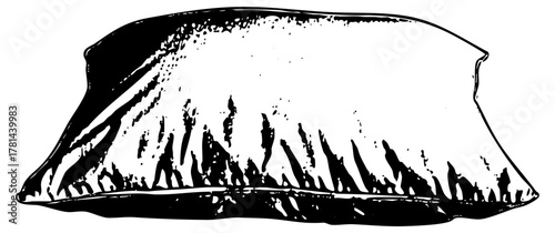 texture in illustration