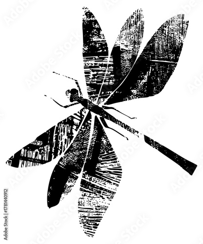 Dragonfly symmetry in illustration