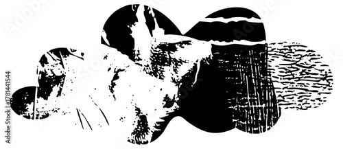 Footprint Reveals Evidence in a Forensic Investigation