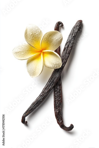 Vanilla Beans And Plumeria Flower On White Background