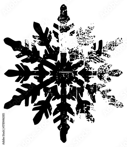 Snowflake complexity in winter