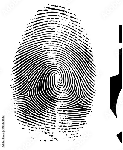 Fingerprint identification in forensic investigation