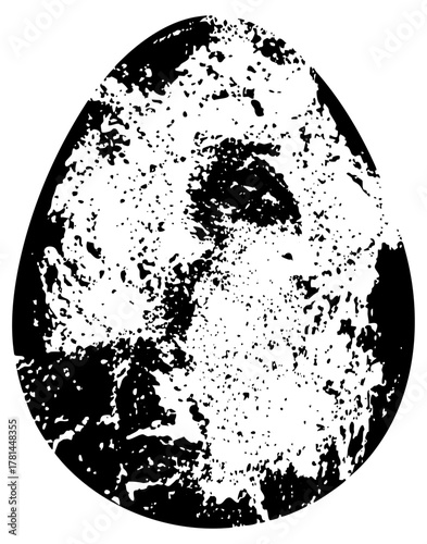 Egg cracks open revealing bird texture