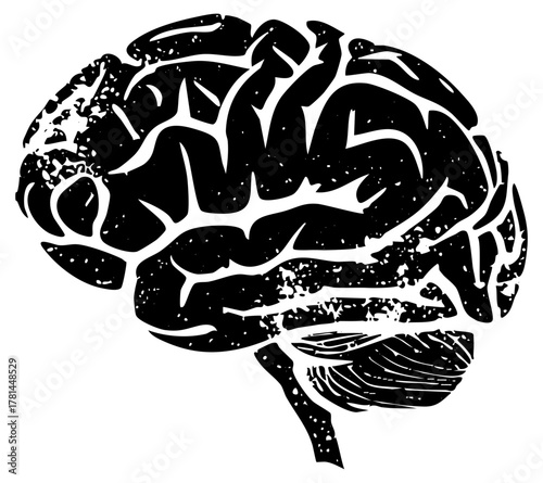 Brain illustrates complexity in neurological science