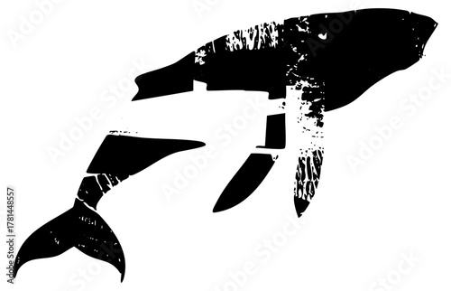 Whale breaches playfully in ocean waters