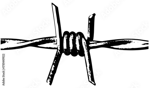 Barbed Wire Secures Boundaries in Rural Landscape