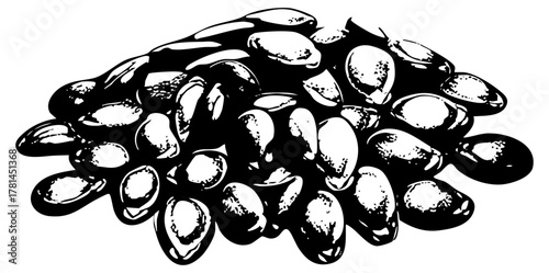 Pumpkin seeds display abundance in a still life