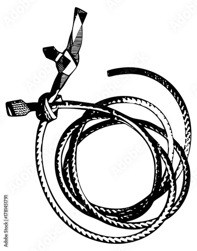 Lasso Twirling Cowboy in Western Landscape