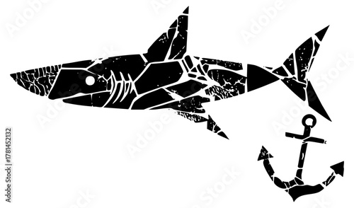 Shark Illustrates Geometry in Ocean Depths