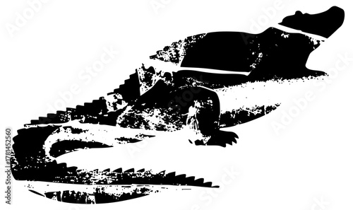 Alligator rests in texture