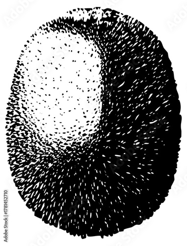 Yin Yang Symbolizes Balance in Abstract Composition