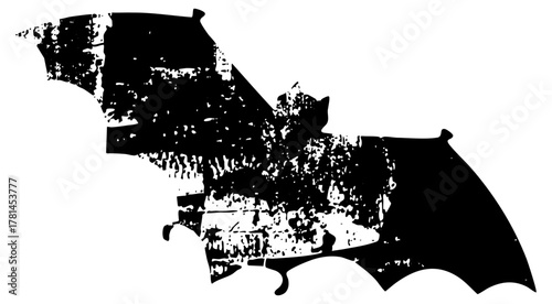 Bat Flies Silhouetted texture