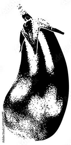 Dervish spins ritualistically in Sufi ceremony