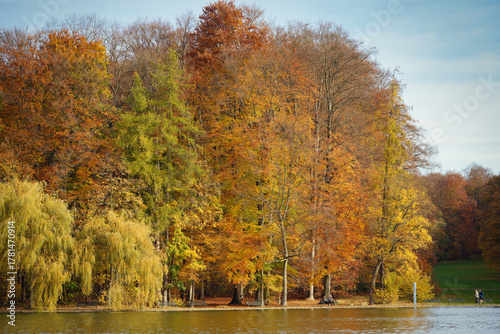 Golden autumn trees along the Adenauer-Weiher pond in Cologne's Stadtwald park, Germany. A peaceful scene on a sunny fall afternoon