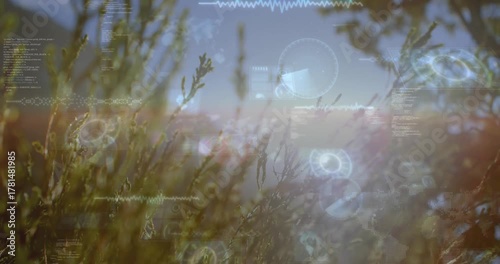 Sun making warm lens flare, HUD elements fading in and growing over swaying grass, showing data